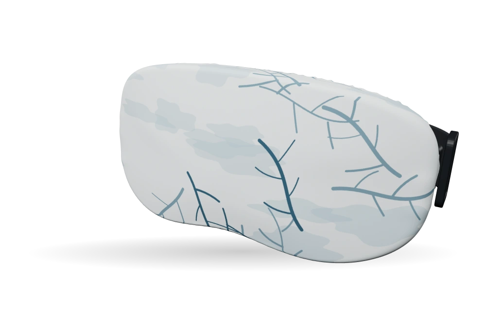 Skibrilhoes Snow cover